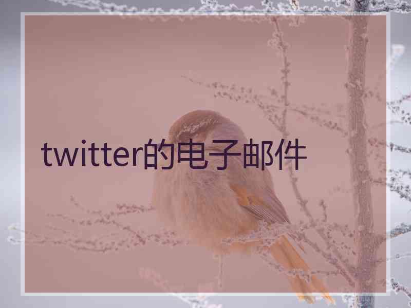 twitter的电子邮件