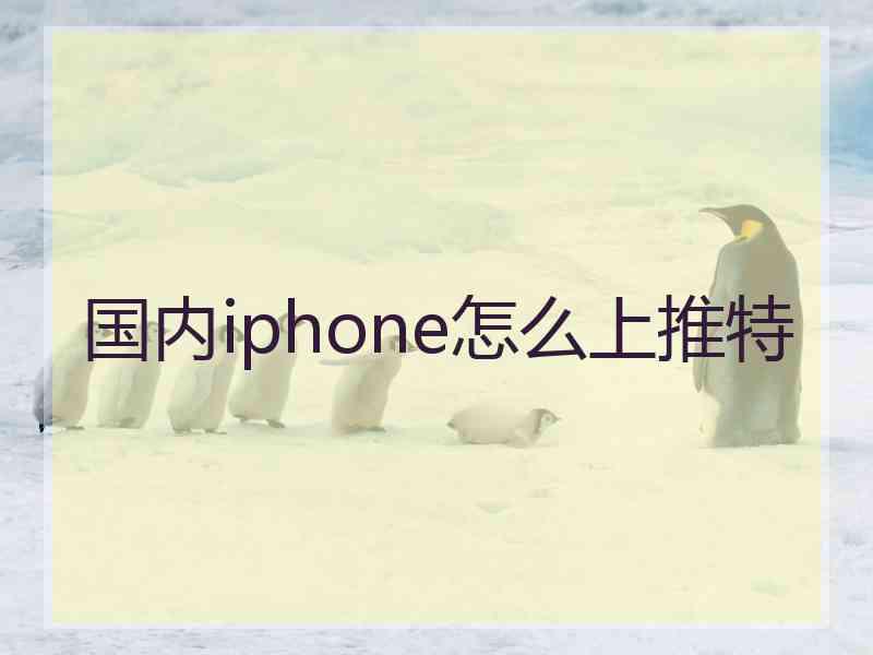 国内iphone怎么上推特