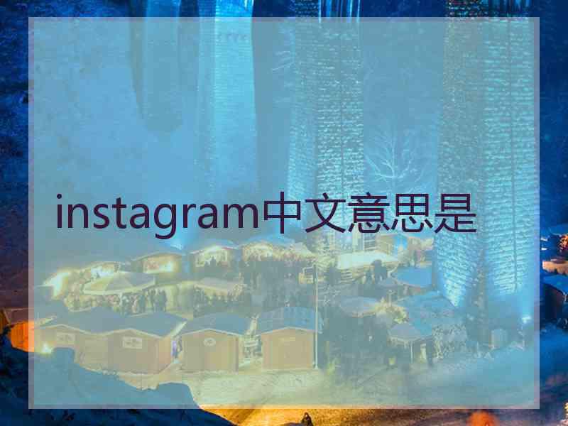 instagram中文意思是