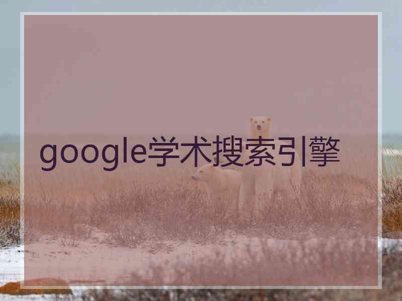 google学术搜索引擎