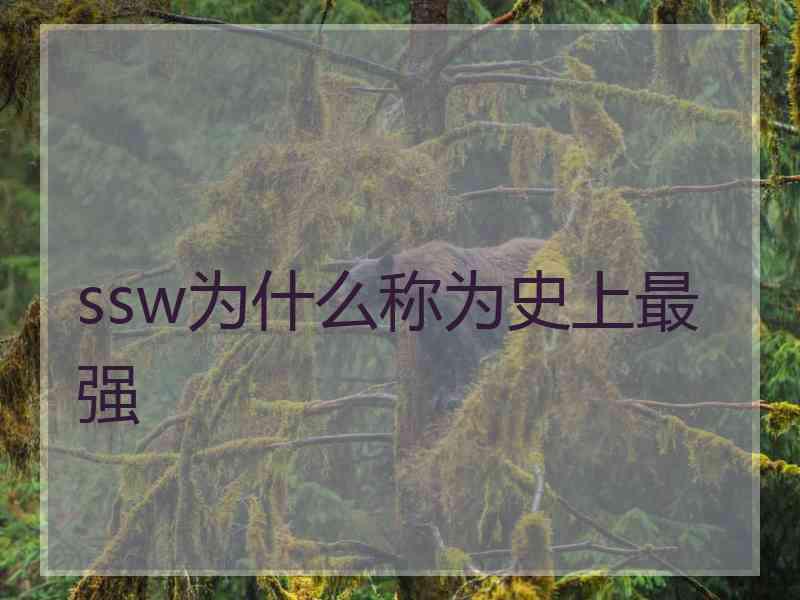 ssw为什么称为史上最强