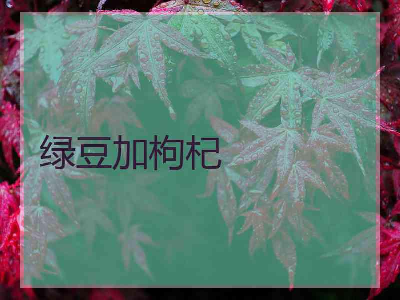 绿豆加枸杞